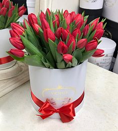 25 красных тюльпан в коробке